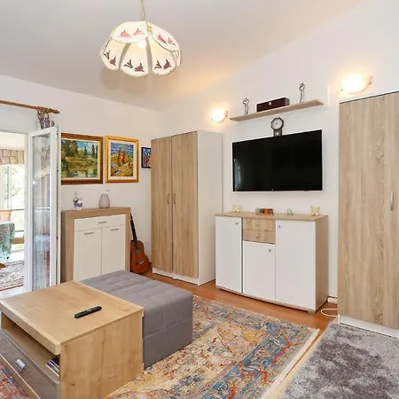 Ivan Apartmán Vir